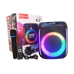 Ailiang Portable Wireless Karaoke Speaker KOLAV-LJ601 with Mic Black Ailiang Portable Wireless Karaoke Speaker KOLAV-LJ601 with Mic Black